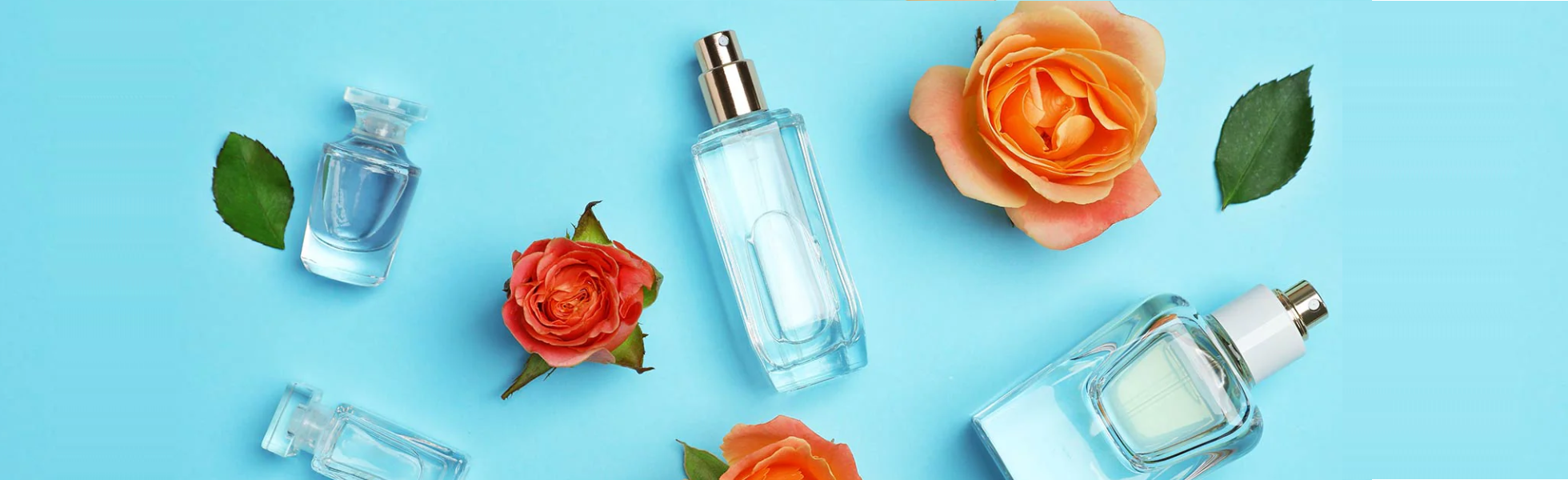 My Perfume Shop Banner